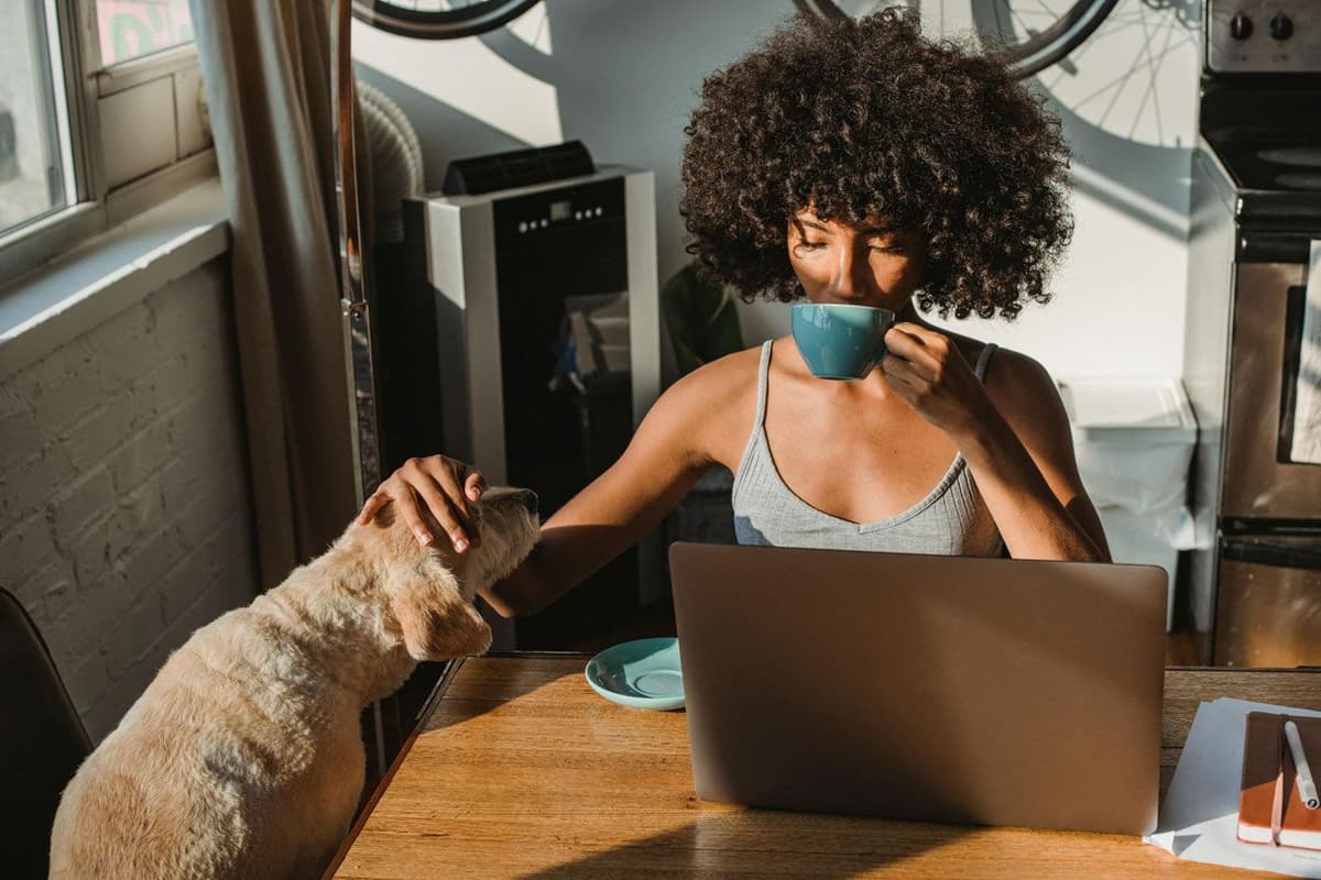 What to Look out for in Independent Contractor Agreements (for Both Sides)