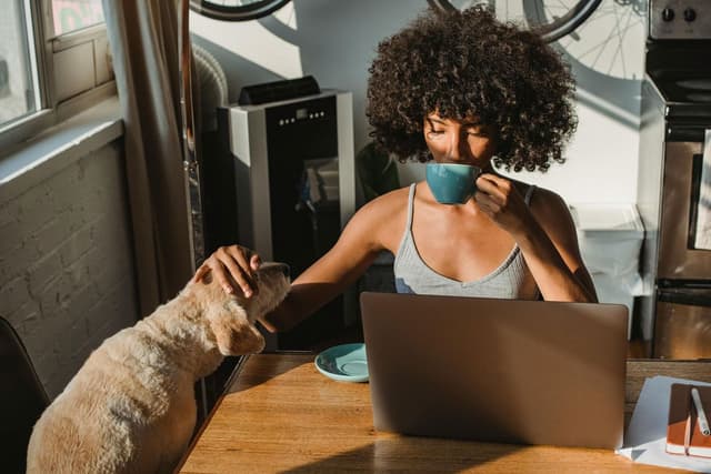 What to Look out for in Independent Contractor Agreements (for Both Sides)
